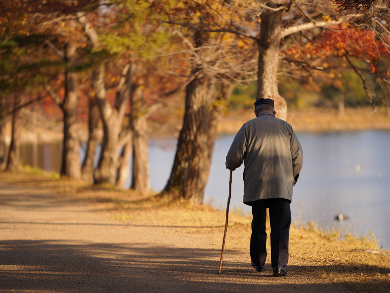 Älterer Mann Mit Gehstock macht bei sonnigem Wetter einen Herbstspaziergang an einem See.