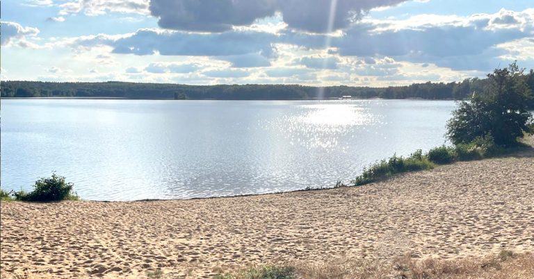 Am Bergwitzsee: im Vordergrund der Strand, dahinter der See mit Uferlinie und lockerer Bewölkung am Himmel
