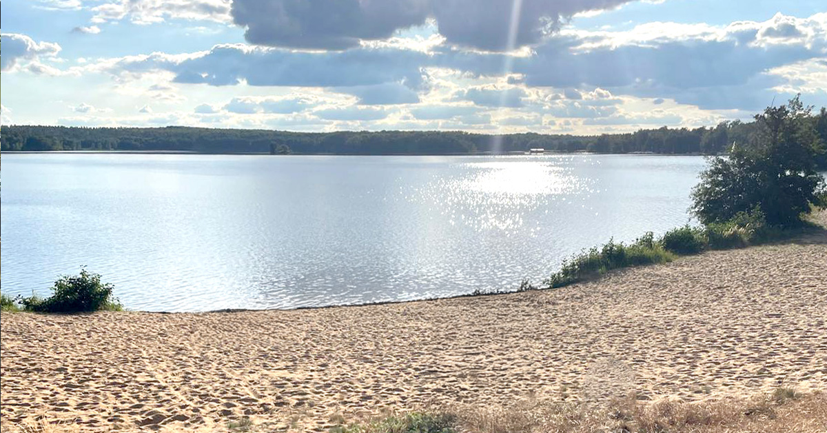 Am Bergwitzsee: im Vordergrund der Strand, dahinter der See mit Uferlinie und lockerer Bewölkung am Himmel